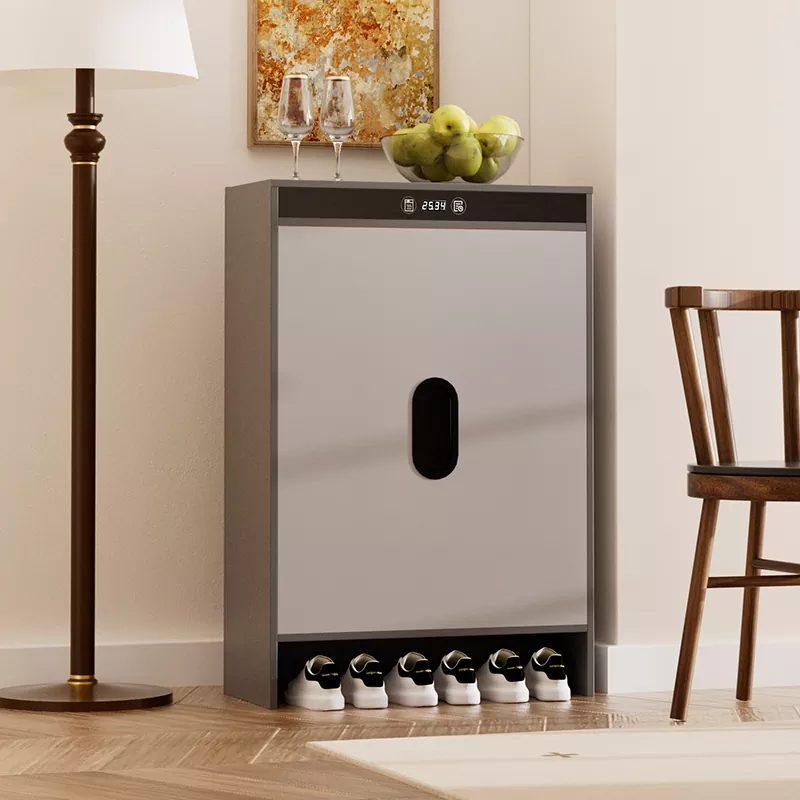 Graphene Electric calefactio Soror siccatio calceamentum scrinium