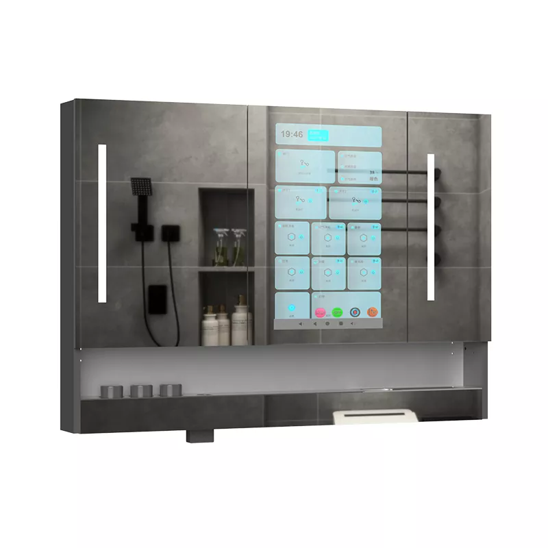 Graphene Smert Baln Terra Speculum Cabinet