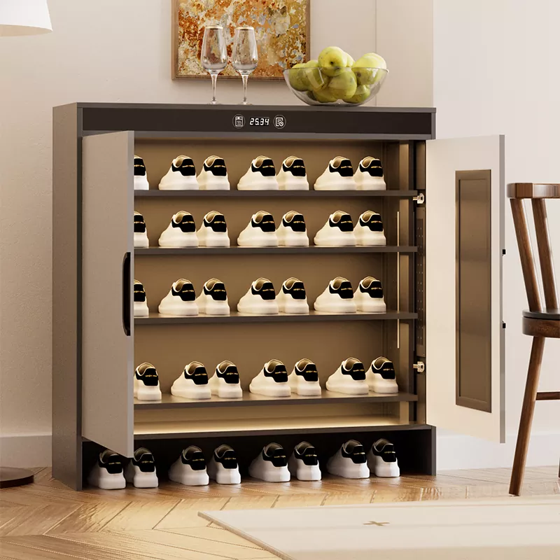 Graphene Electric calefactio Soror siccatio calceamentum scrinium